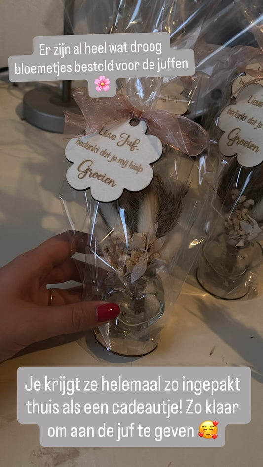 Setje droogbloemetjes - Juf, bedankt dat je mij hielp groeien!