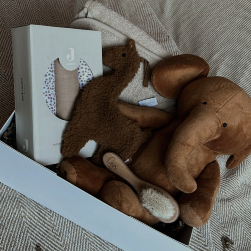 Cadeaubox | camel olifant
