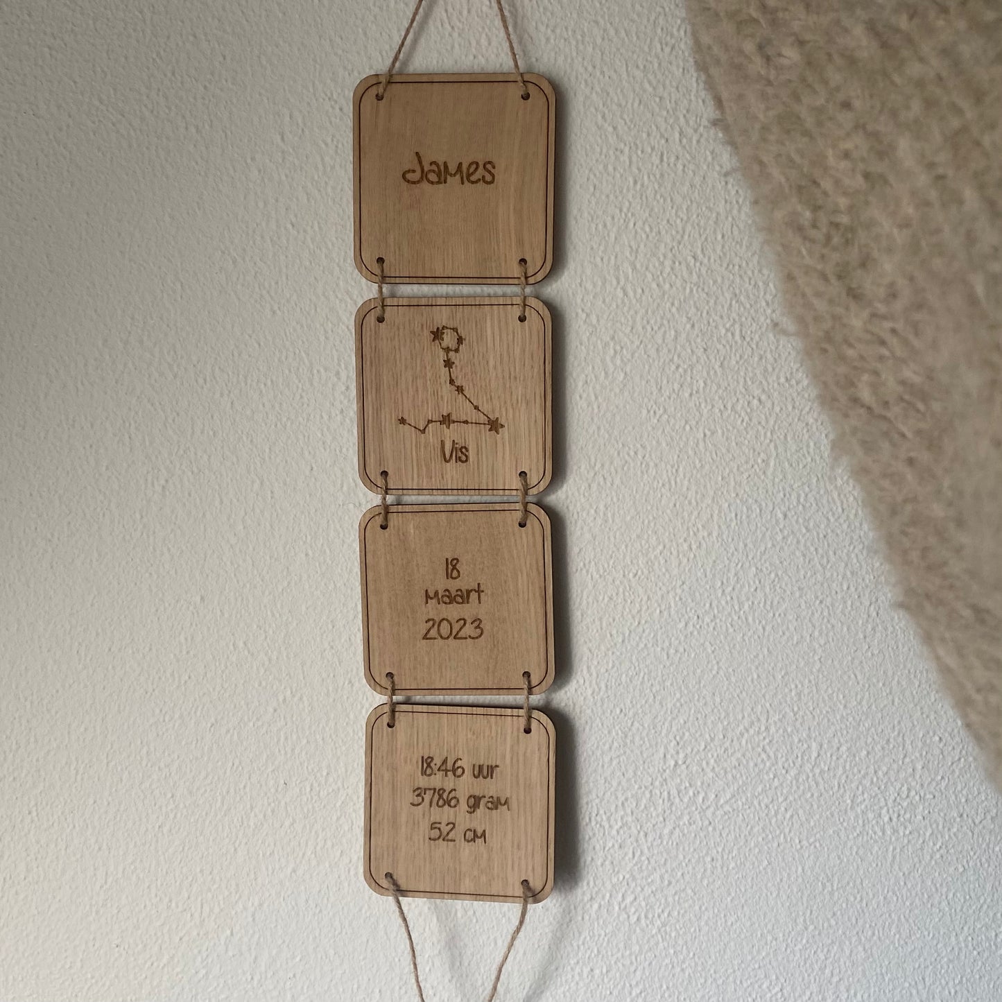 Geboorteladder