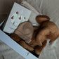 cadeaubox | olifant camel op