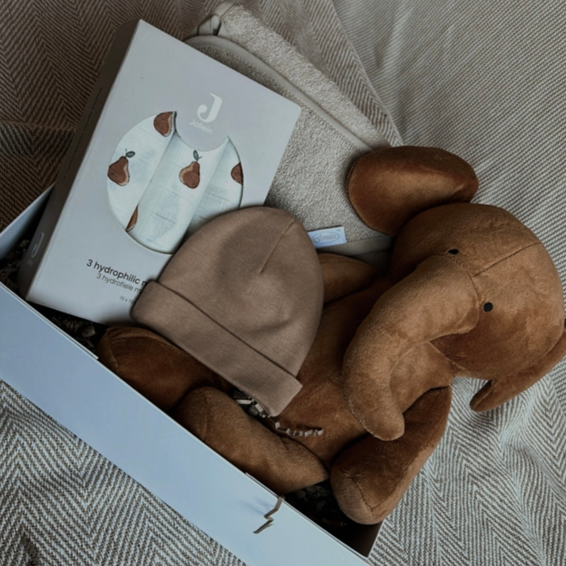 cadeaubox | olifant camel op