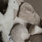 Cadeaubox | Beige olifant