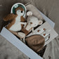 Cadeaubox | groot bruin