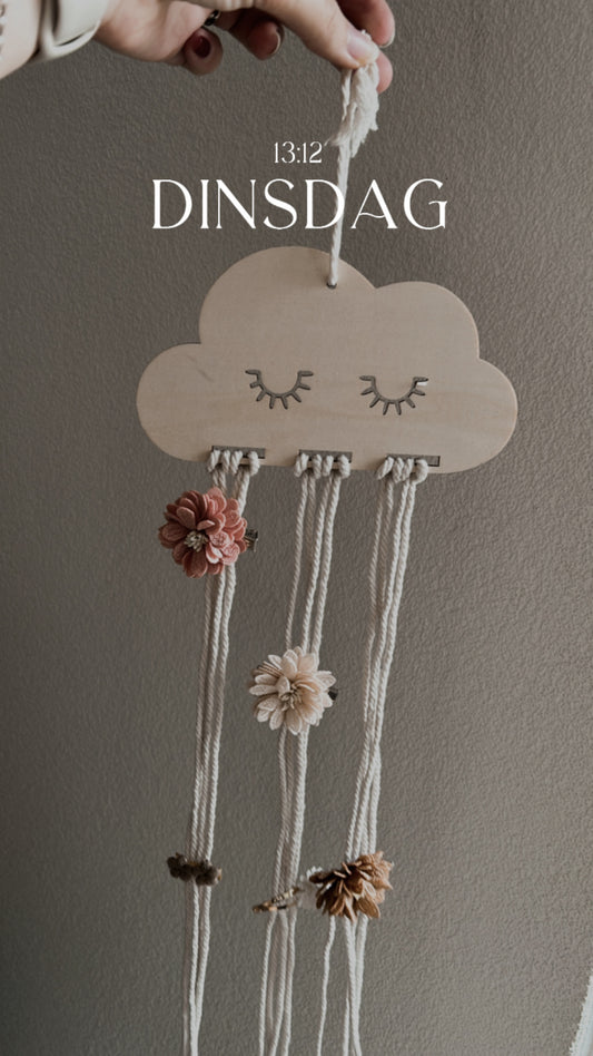 Wolkje om haarspeldjes aan te hangen