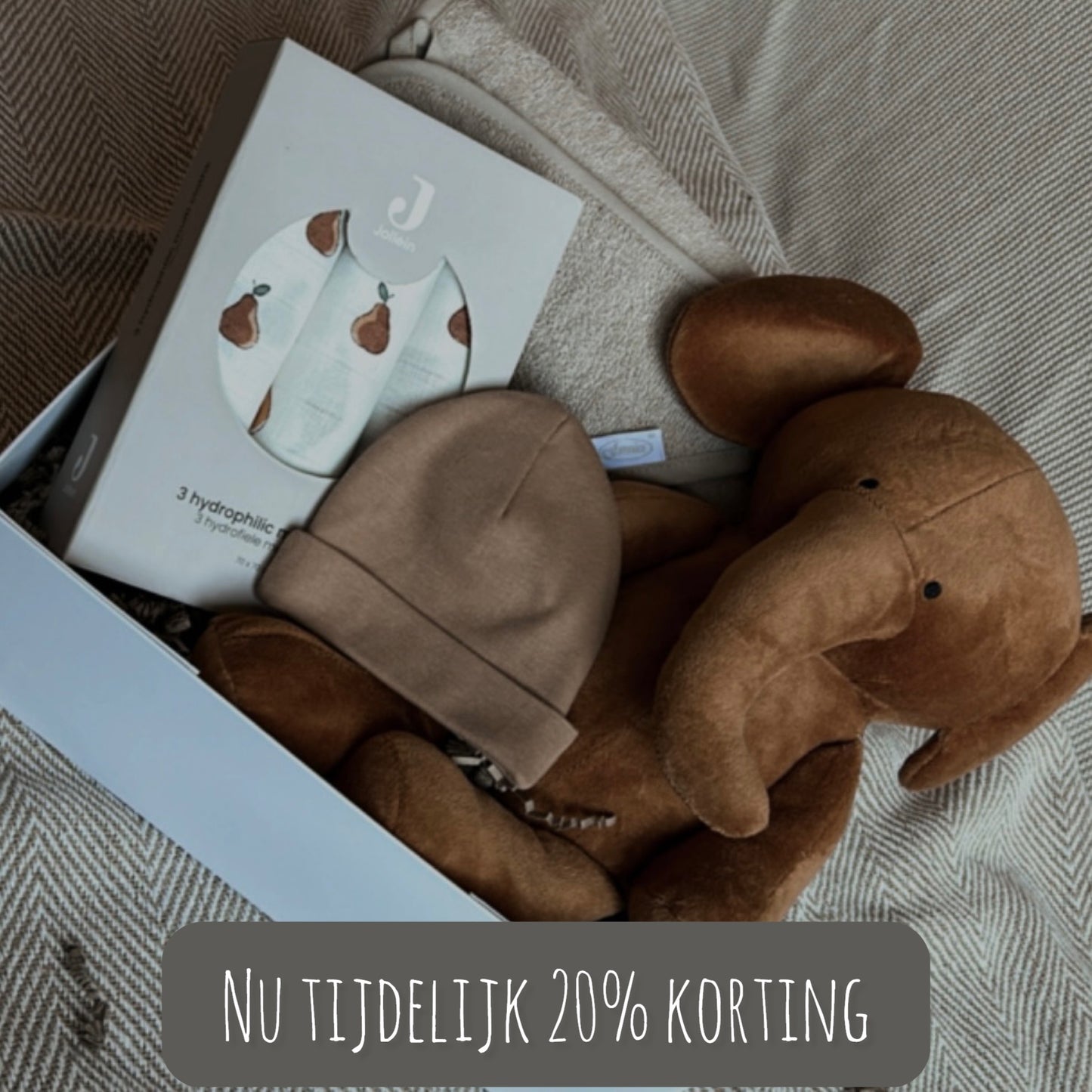 cadeaubox | olifant camel op