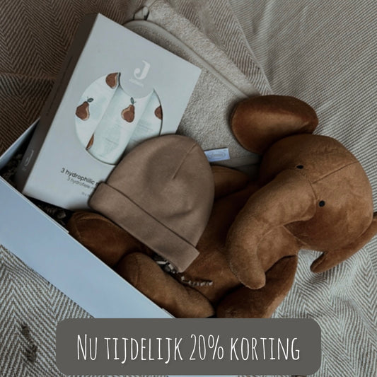 cadeaubox | olifant camel op