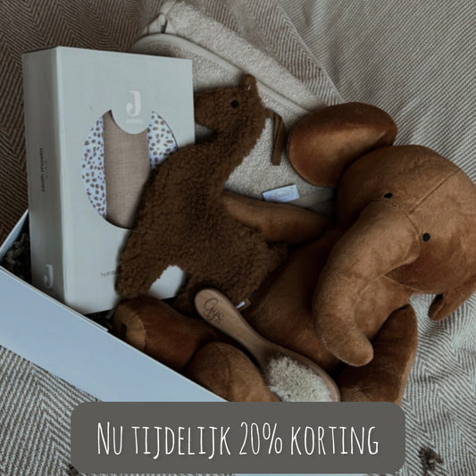 Cadeaubox | camel olifant
