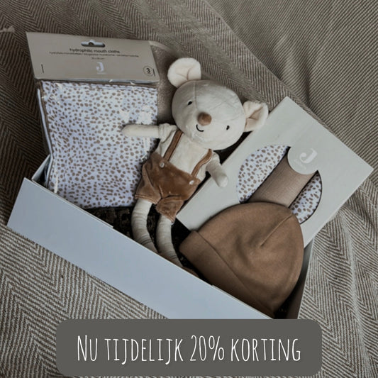 Cadeaubox | mouse bowie camel